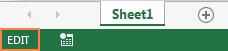 A visual indication that Microsoft Excel is in the Edit mode.