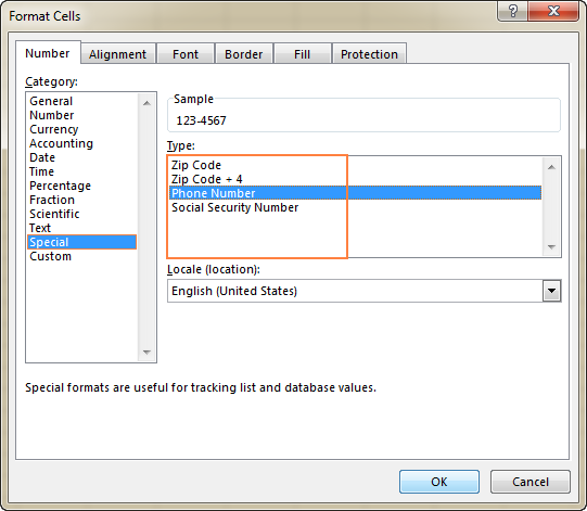 Special format options for zip codes, phone numbers and social security numbers