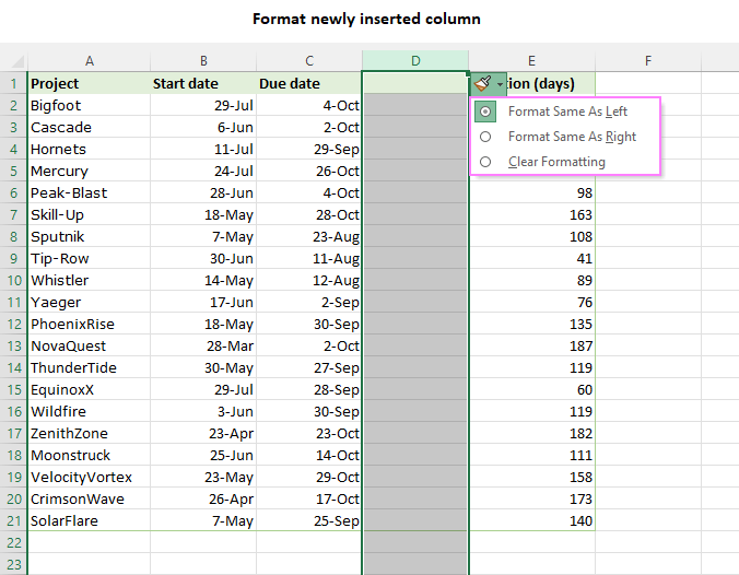 Format options for the newly inserted column