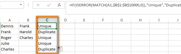 All duplicated cells are flagged as 'Duplicate'