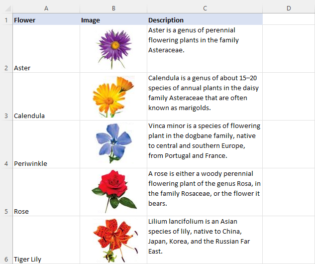 Multiple images in Excel, each linked to a certain cell.