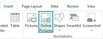 Adding a picture to Excel from the web