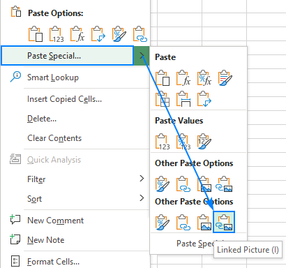 Paste the copied range as liked picture.