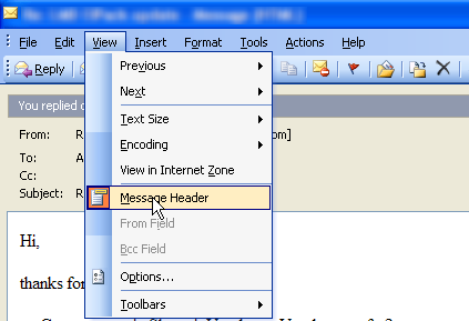 Go to the View tab and select Message Header from the list