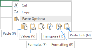 6 most popular paste options appear under Paste Options.