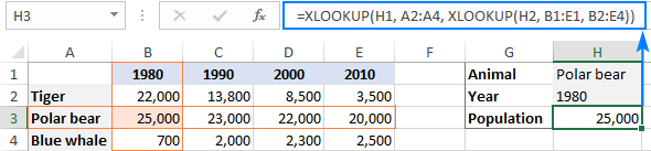 INDEX MATCH MATCH formula to lookup in rows and columns