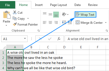 Click the Wrap Text button to get longer text to appear on multiple lines.